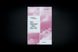 titelbild-roman-himmel-ueber-baycity-secession 