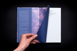 vorsatz-roman-gschwind-secession