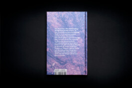 U4-roman-gschwind-secession