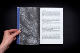 textseite-roman-gschwind-secession