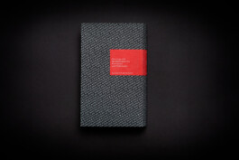 bild zeigt den U4 des buches romantikreihe secession