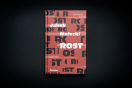 titelbild-roman-rost-secession