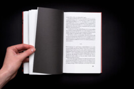 textseite-roman-rost-secession